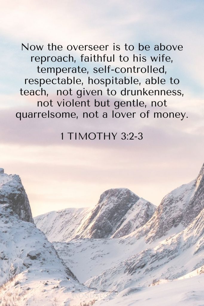 1 Timothy 3:2-3