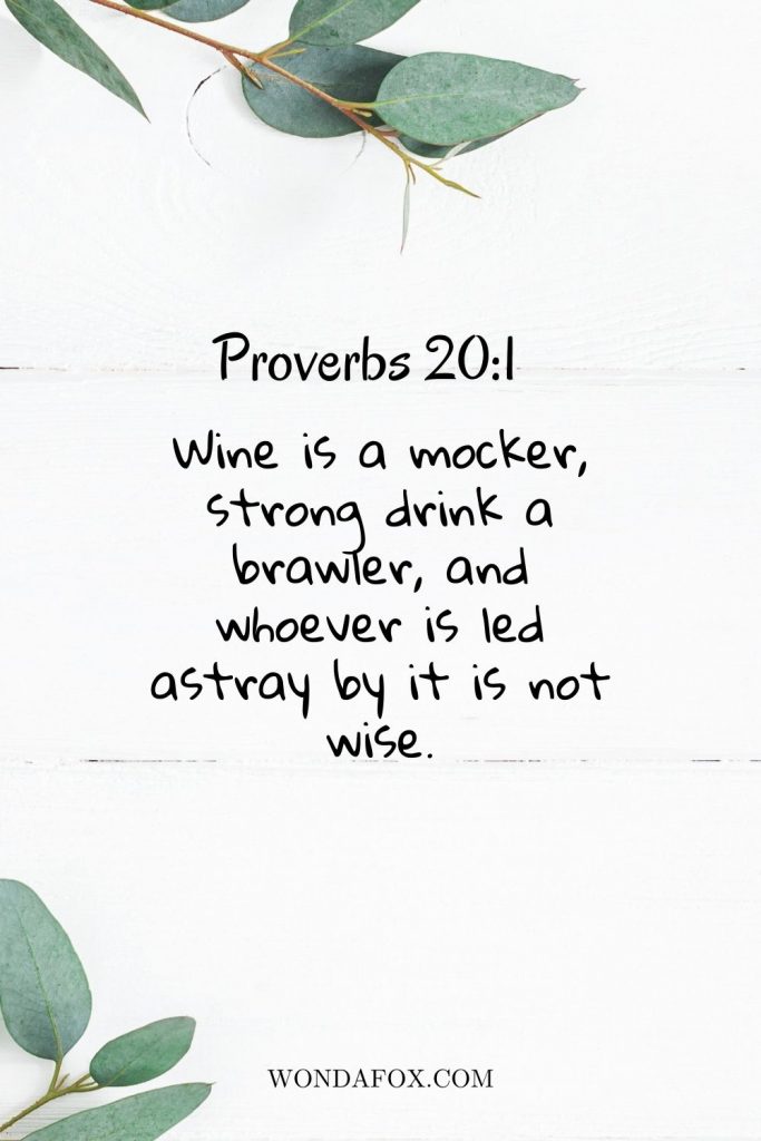 Wine is a mocker, strong drink a brawler, and whoever is led astray by it is not wise.