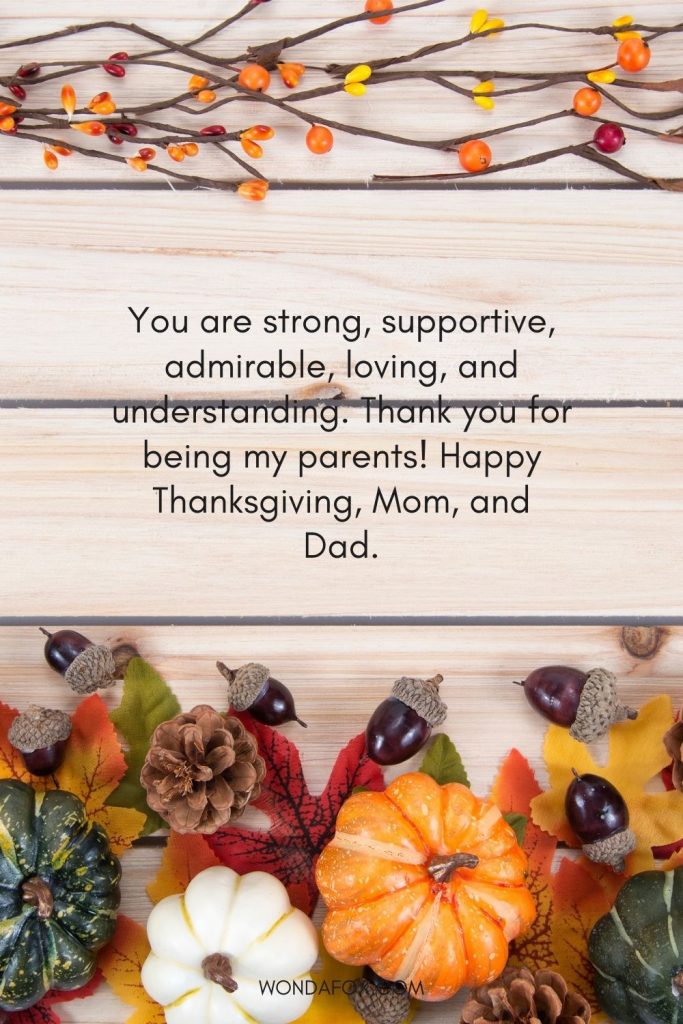 You are strong, supportive, admirable, loving, and understanding. Thank you for being my parents! Happy Thanksgiving, Mom, and Dad.
