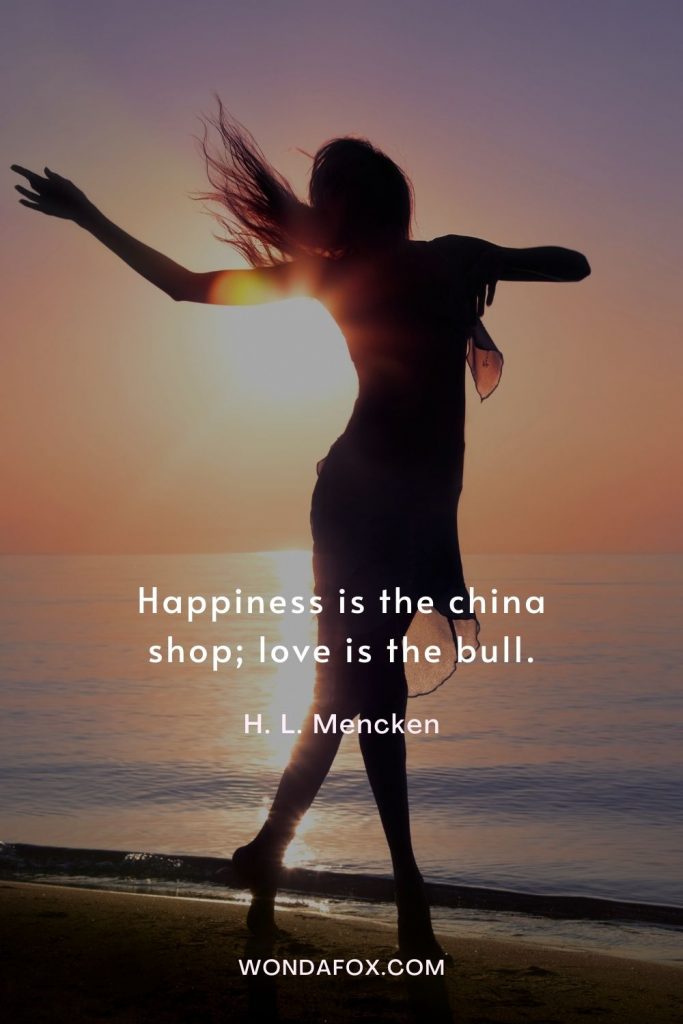 Happiness is the china shop; love is the bull.