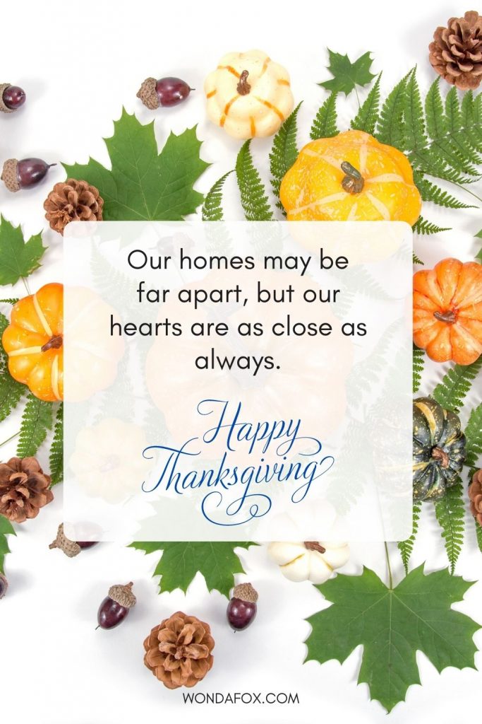 Our homes may be far apart, but our hearts are as close as always. Happy Thanksgiving Day. 