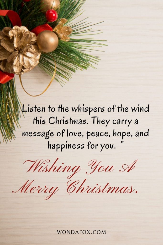 Listen to the whispers of the wind this Christmas. They carry a message of love, peace, hope and happiness for you. Wishing you a merry Christmas
