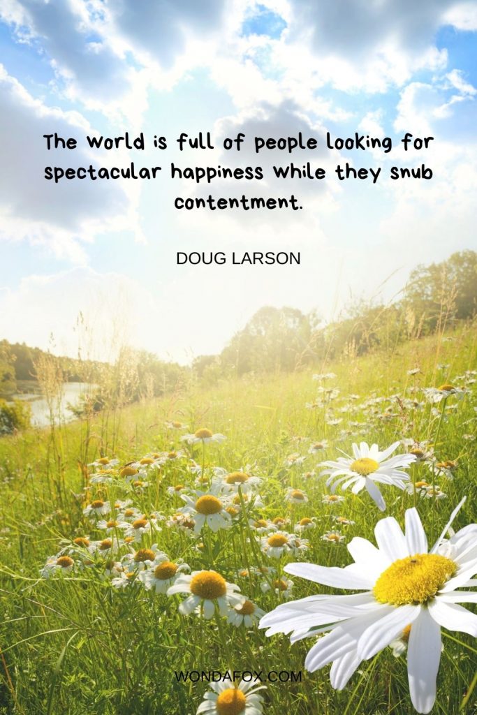 The world is full of people looking for spectacular happiness while they snub contentment.