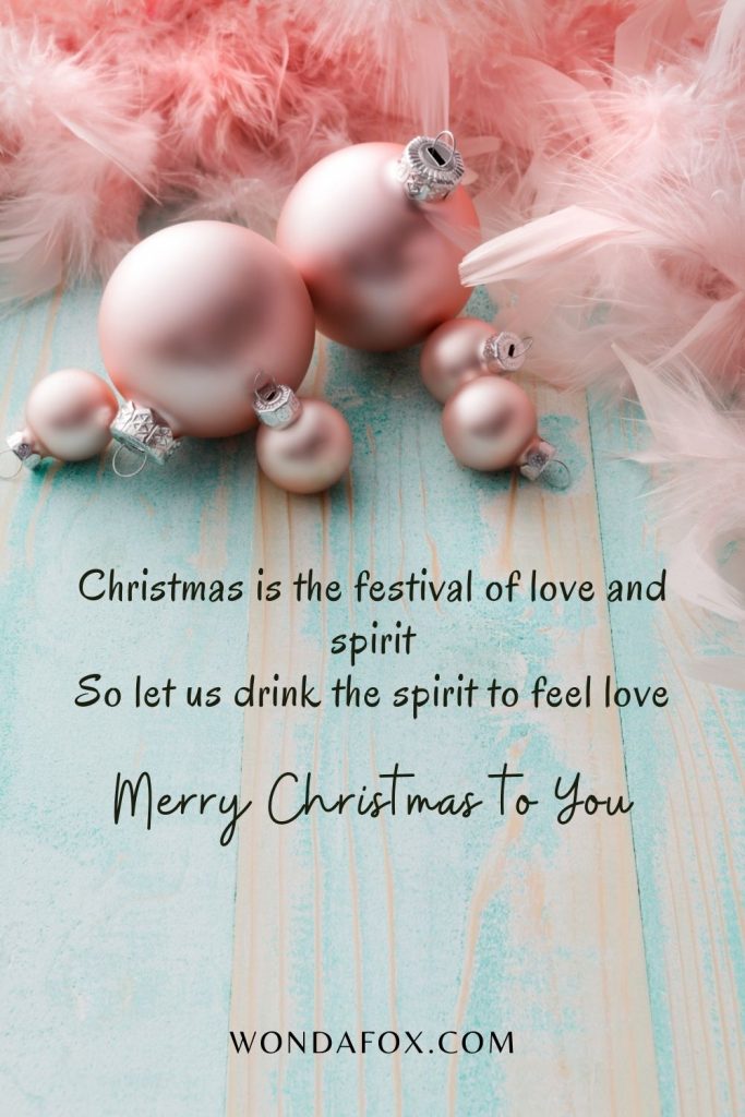 Christmas is the festival of love and spirit So let us drink the spirit to feel love Merry Christmas to You