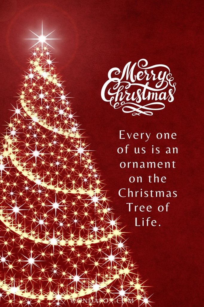 Every one of us is an ornament on the Christmas Tree of Life.