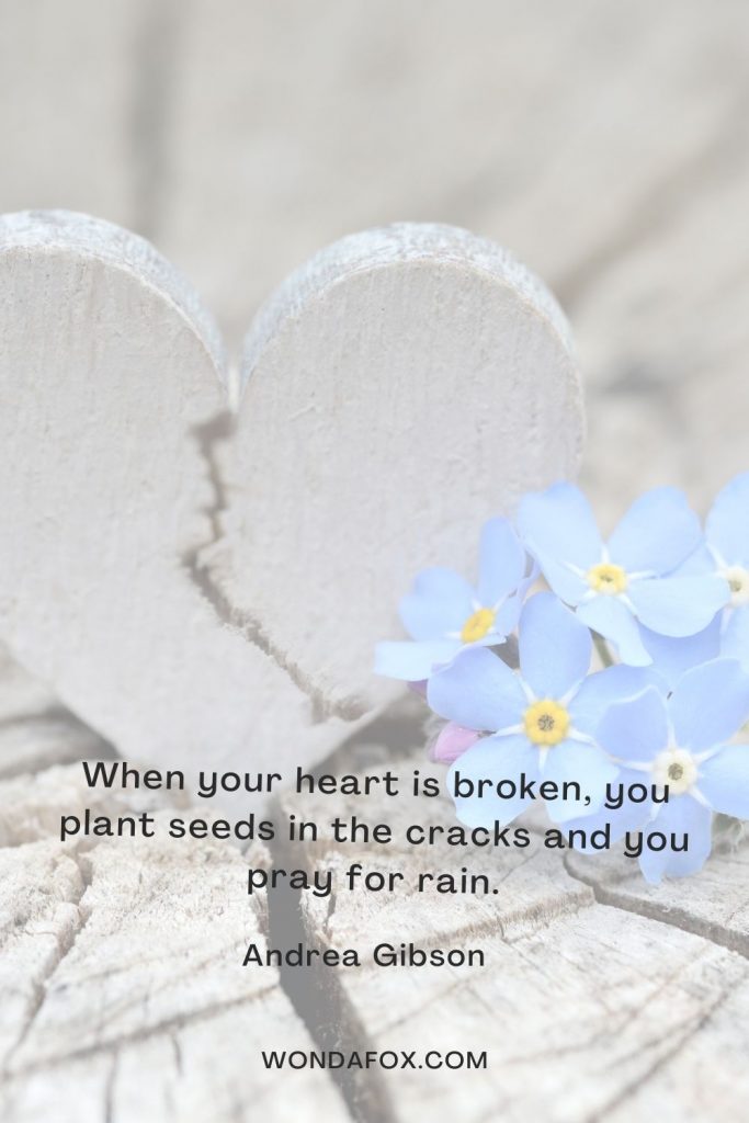 When your heart is broken, you plant seeds in the cracks and you pray for rain.
