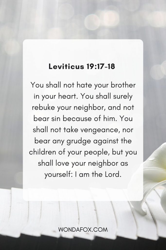 You shall not hate your brother in your heart. You shall surely rebuke your neighbor, and not bear sin because of him. You shall not take vengeance, nor bear any grudge against the children of your people, but you shall love your neighbor as yourself: I am the Lord.