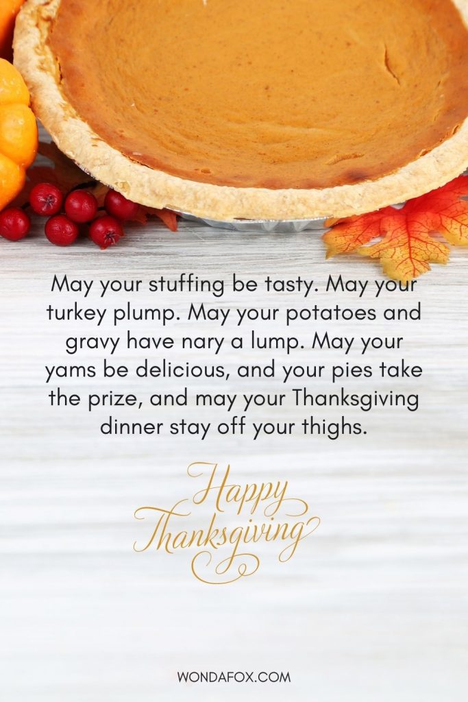 May your stuffing be tasty. May your turkey plump. May your potatoes and gravy have nary a lump. May your yams be delicious, and your pies take the prize, and may your Thanksgiving dinner stay off your thighs. Happy Thanksgiving. 