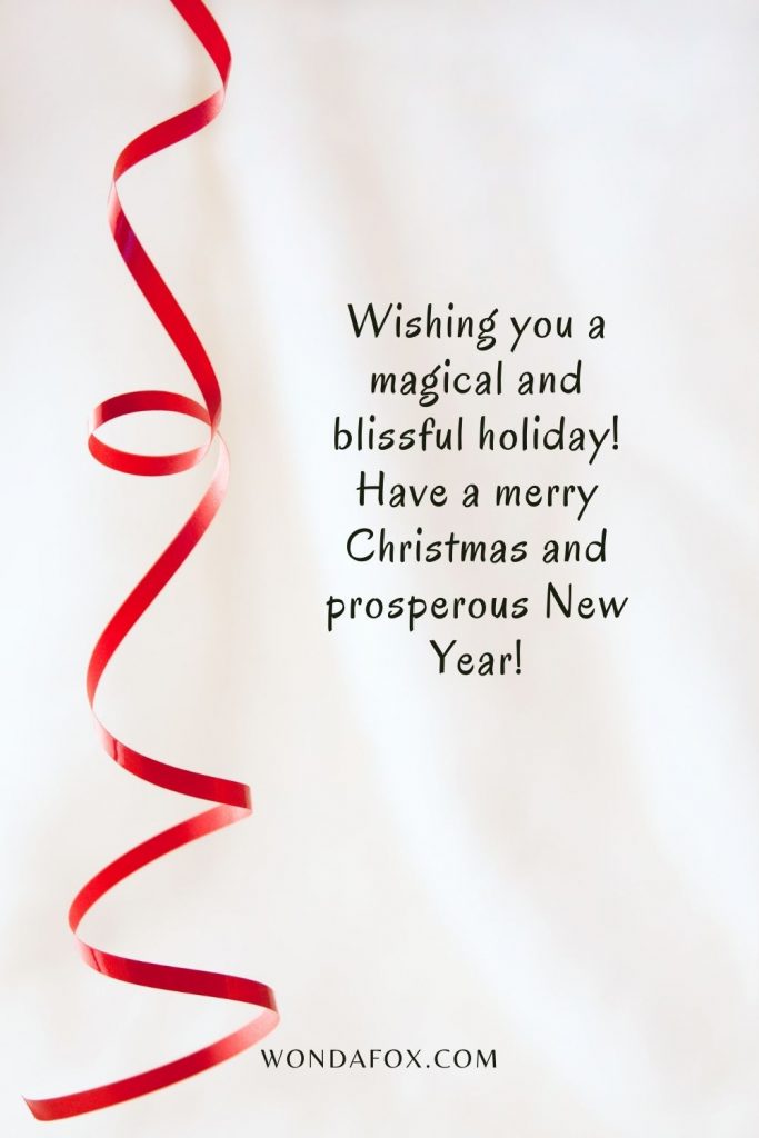 Wishing you a magical and blissful holiday! Have a merry Christmas and prosperous New Year!