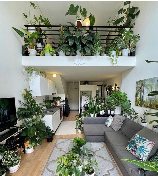 Plants in Interior Design: How to Make Your Home Flourish - Decorilla