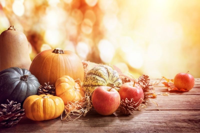 50+ Thanksgiving Day Wishes With Images