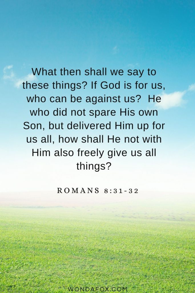 What then shall we say to these things? If God is for us, who can be against us?  He who did not spare His own Son, but delivered Him up for us all, how shall He not with Him also freely give us all things? Romans 8:31-32