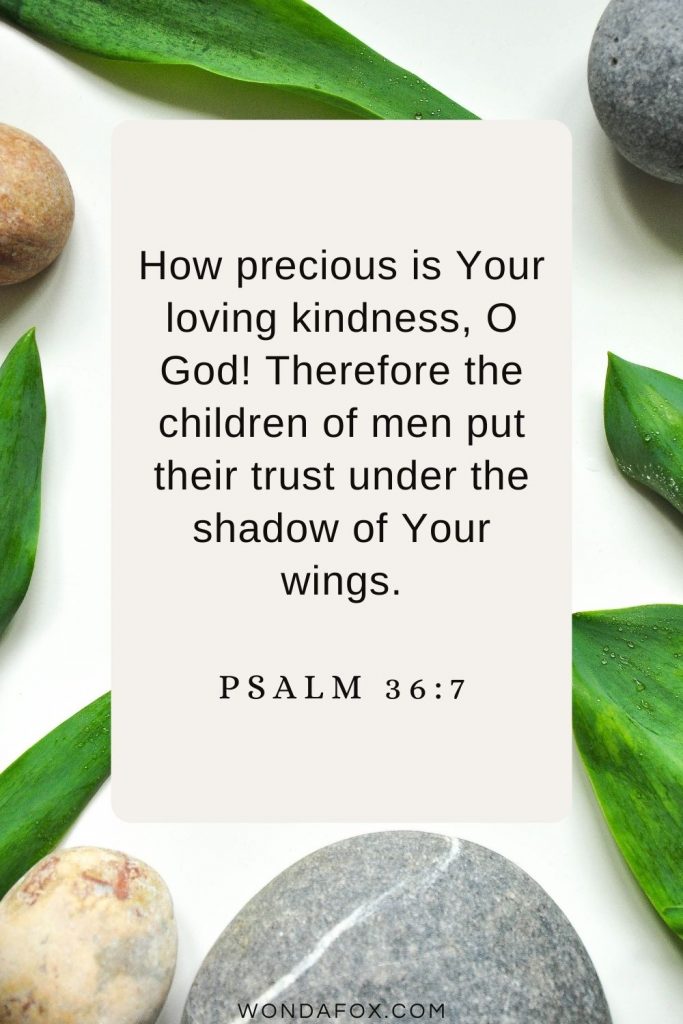 How precious is Your loving kindness, O God! Therefore the children of men put their trust under the shadow of Your wings. Psalm 36:7