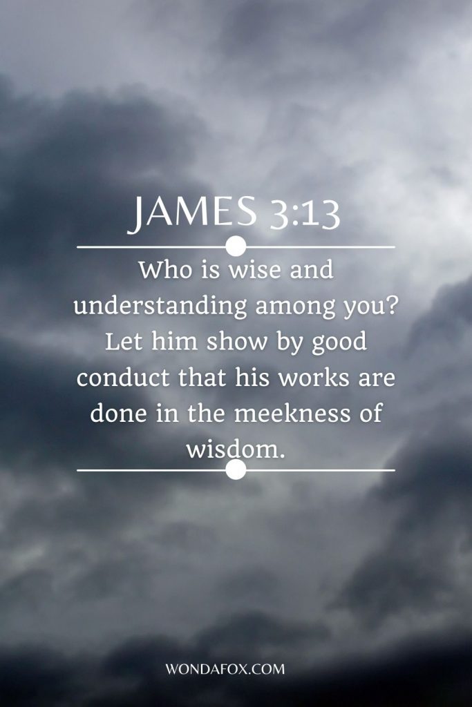 Who is wise and understanding among you? Let him show by good conduct that his works are done in the meekness of wisdom.