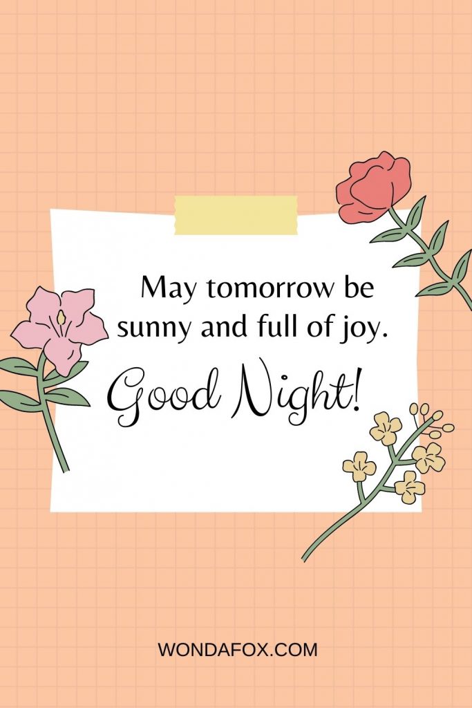 May tomorrow be sunny and full of joy. Good night