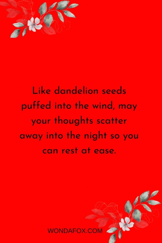 Like dandelion seeds puffed into the wind, may your thoughts scatter away into the night so you can rest at ease.