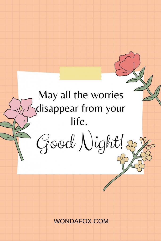 May all the worries disappear from your life. Good Night!