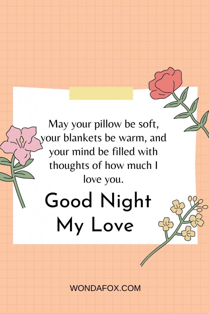 May your pillow be soft, your blankets be warm, and your mind be filled with thoughts of how much I love you. Good night my Love.