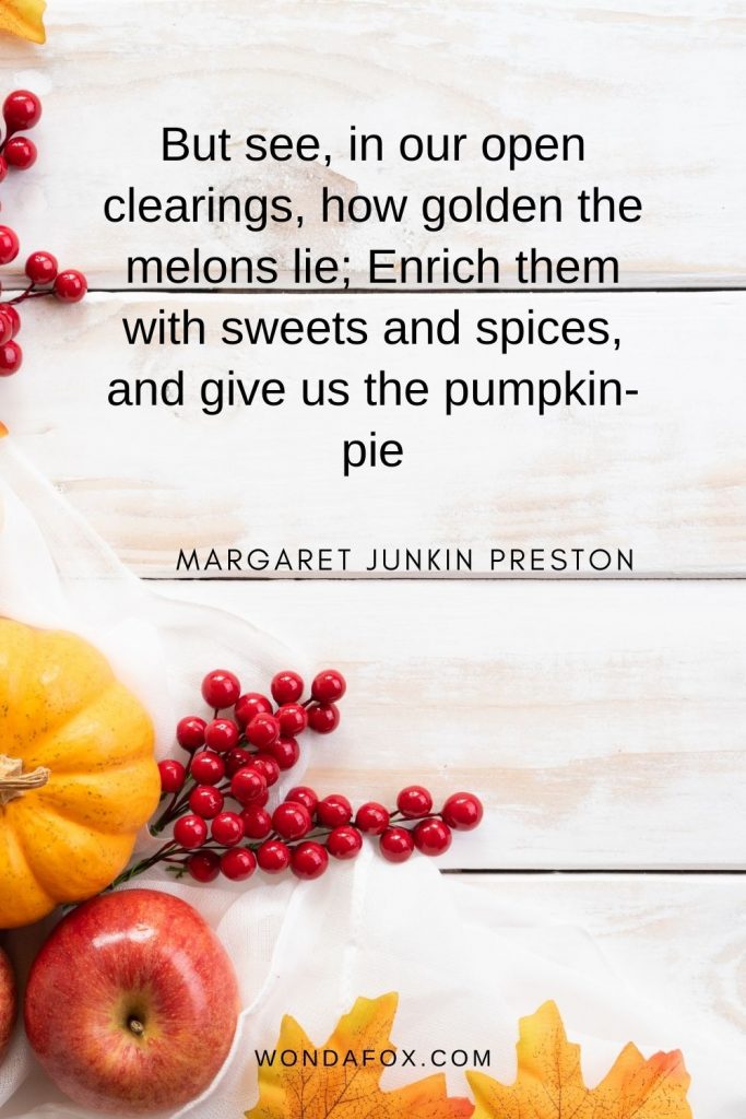 But see, in our open clearings, how golden the melons lie; Enrich them with sweets and spices, and give us the pumpkin-pie!