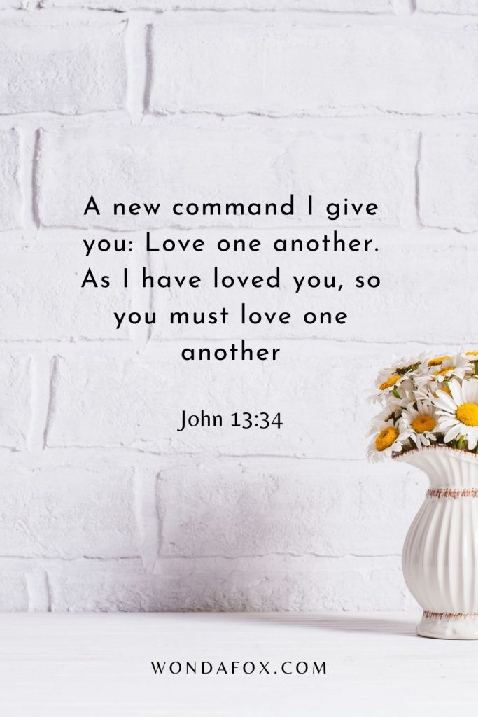 A new command I give you: Love one another. As I have loved you, so you must love one another