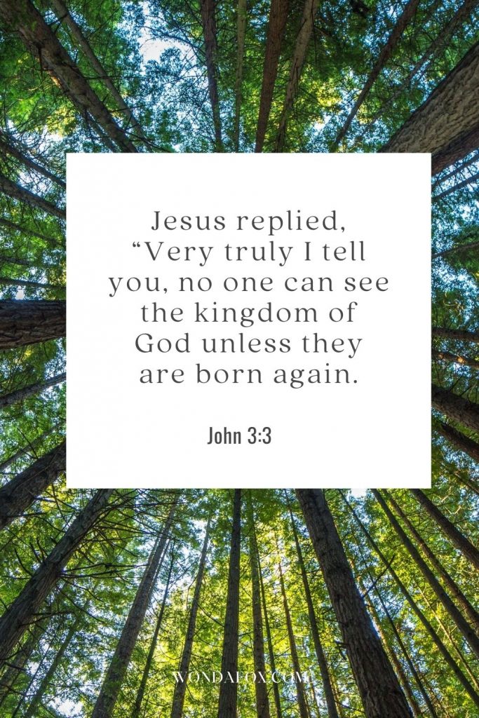 Jesus replied, “Very truly I tell you, no one can see the kingdom of God unless they are born again.