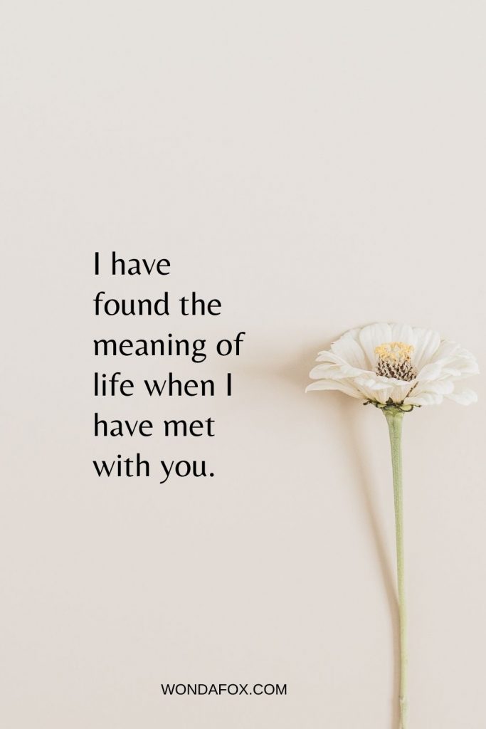 I have found the meaning of life when I have met with you. - romantic love messages
