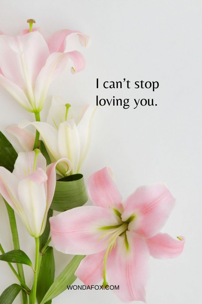 I can’t stop loving you.