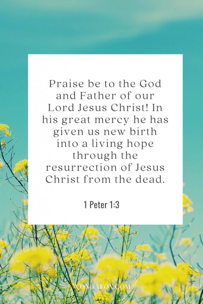 Praise be to the God and Father of our Lord Jesus Christ! In his great mercy he has given us new birth into a living hope through the resurrection of Jesus Christ from the dead.