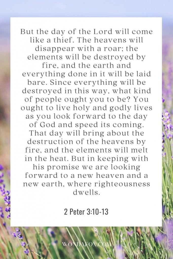 But the day of the Lord will come like a thief. The heavens will disappear with a roar; the elements will be destroyed by fire, and the earth and everything done in it will be laid bare. Since everything will be destroyed in this way, what kind of people ought you to be? You ought to live holy and godly lives  as you look forward to the day of God and speed its coming. That day will bring about the destruction of the heavens by fire, and the elements will melt in the heat. But in keeping with his promise we are looking forward to a new heaven and a new earth, where righteousness dwells.