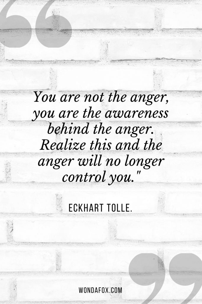 You are not the anger, you are the awareness behind the anger. Realize this and the anger will no longer control you."