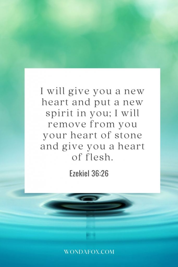 I will give you a new heart and put a new spirit in you; I will remove from you your heart of stone and give you a heart of flesh.