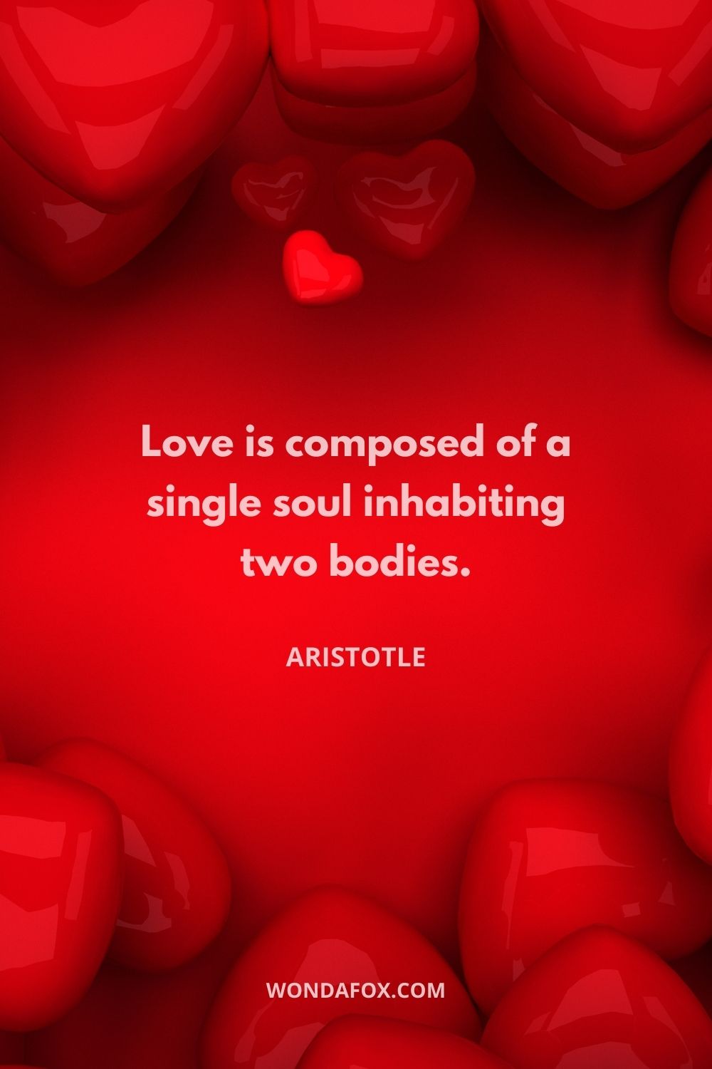 Love is composed of a single soul inhabiting two bodies.