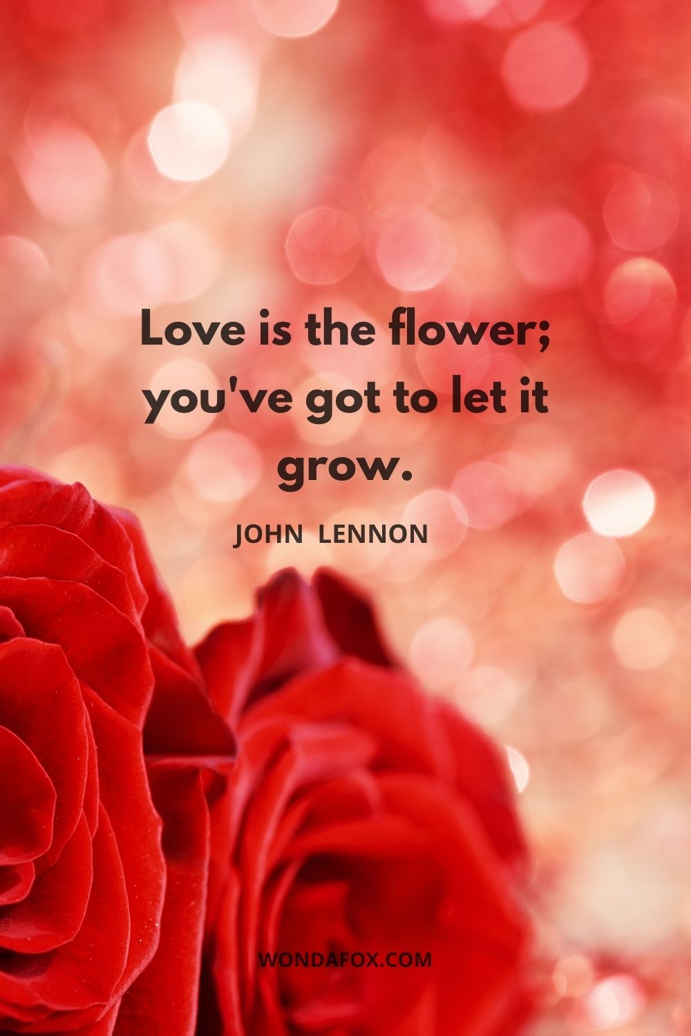 Love is the flower; you've got to let it grow.