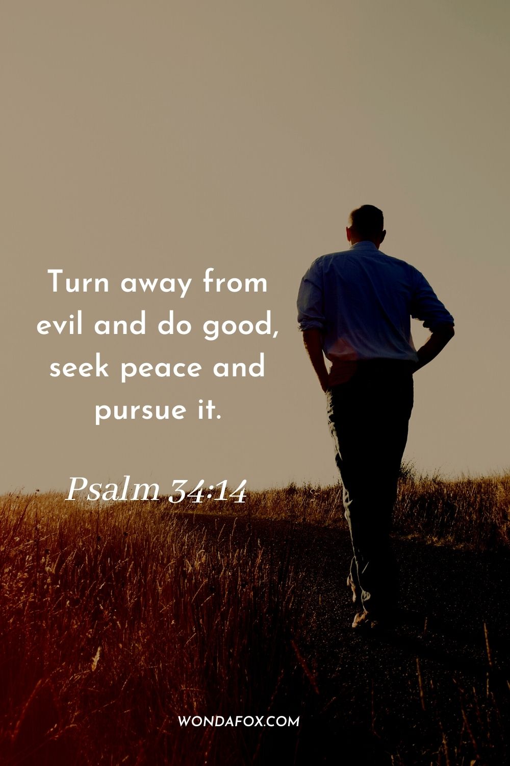 Turn away from evil and do good, seek peace and pursue it. Psalm 34:14