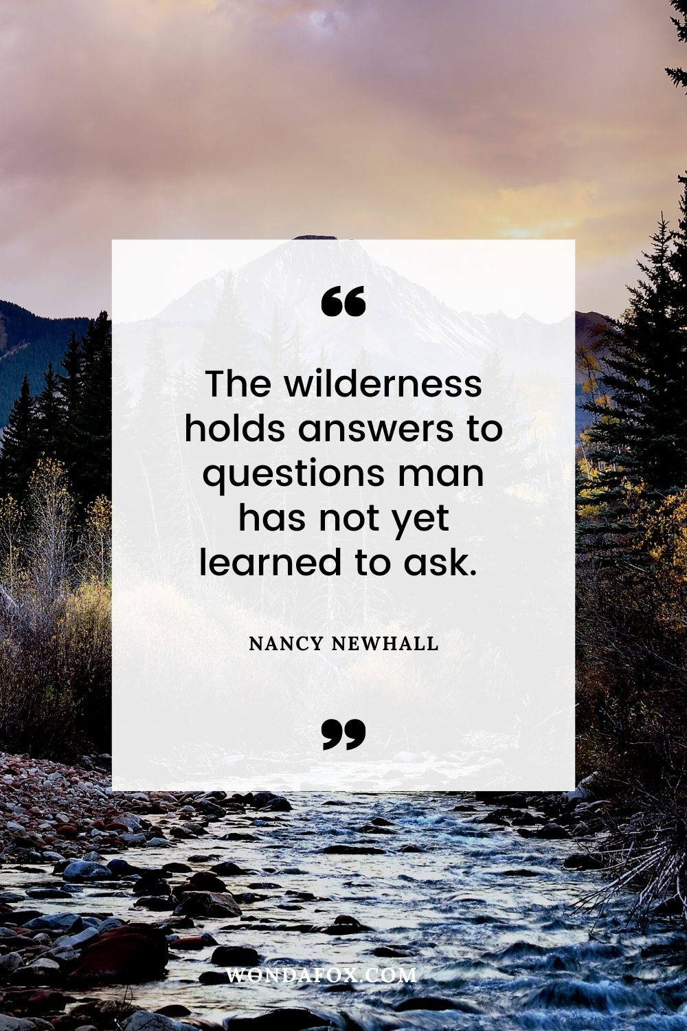 The wilderness holds answers to questions man has not yet learned to ask. 