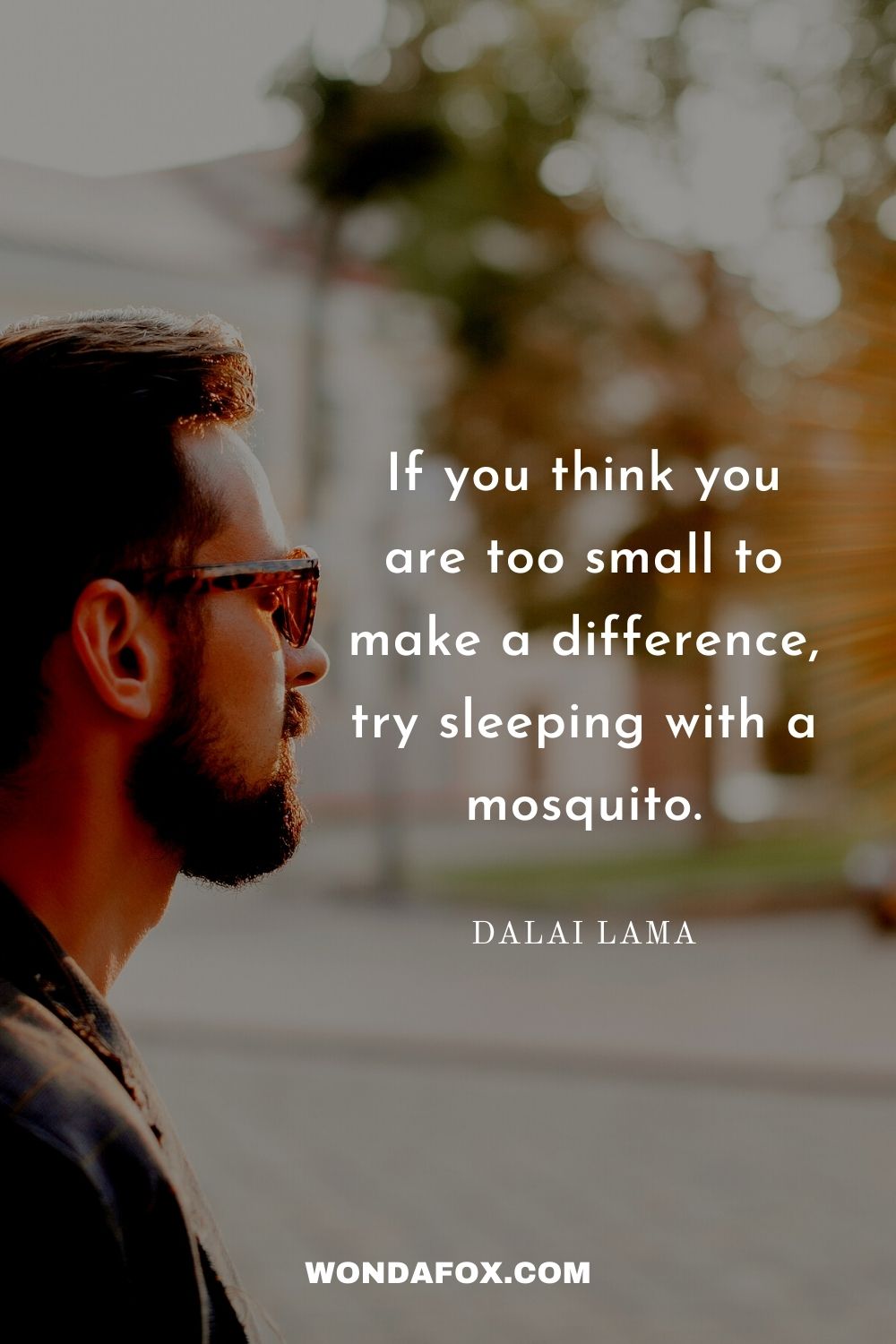 If you think you are too small to make a difference, try sleeping with a mosquito.