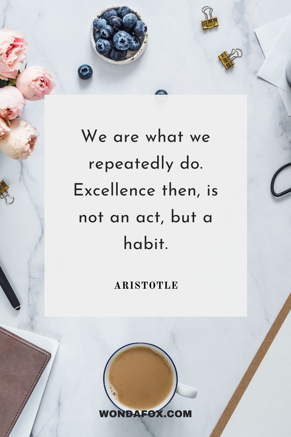 We are what we repeatedly do. Excellence then, is not an act, but a habit.