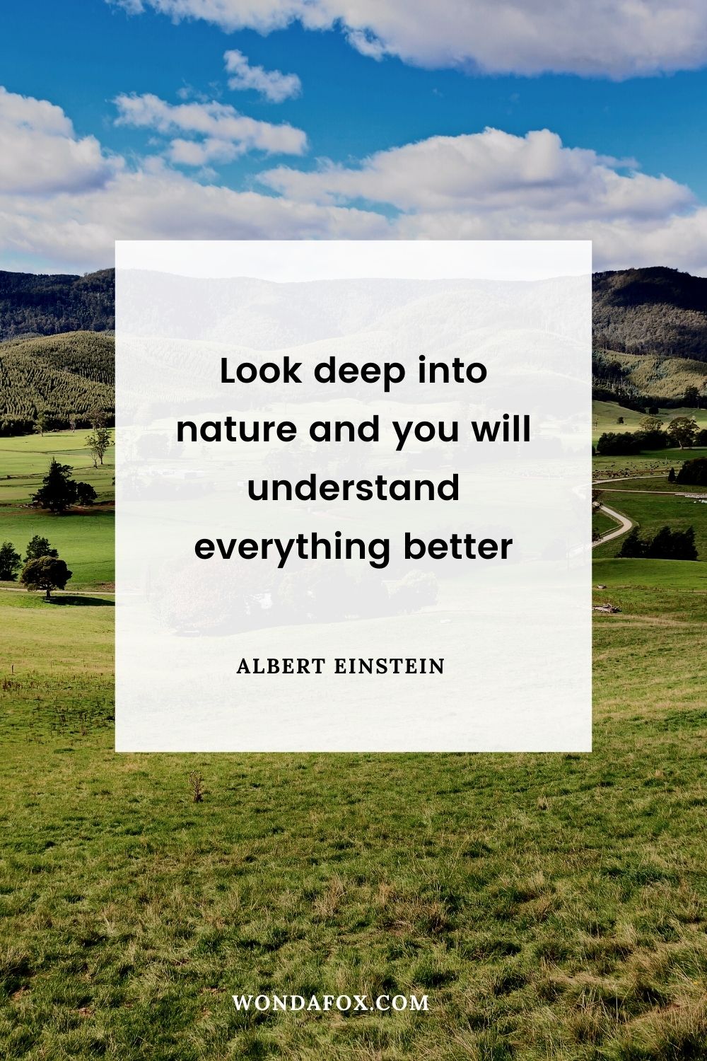 Look deep into nature and you will understand everything better