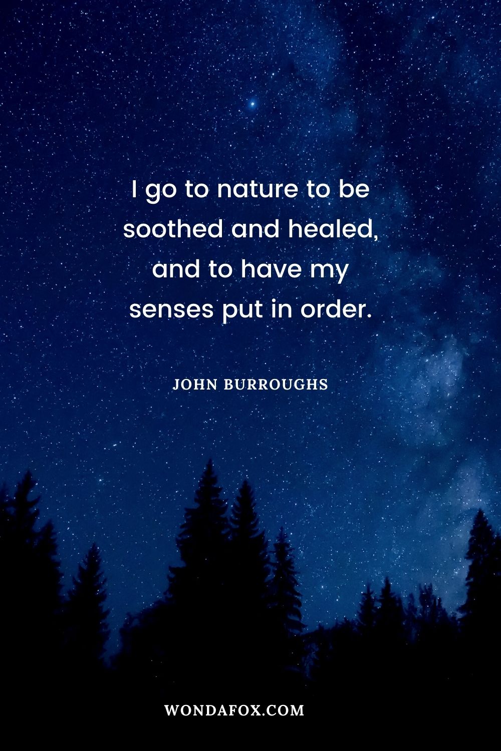 I go to nature to be soothed and healed, and to have my senses put in order.