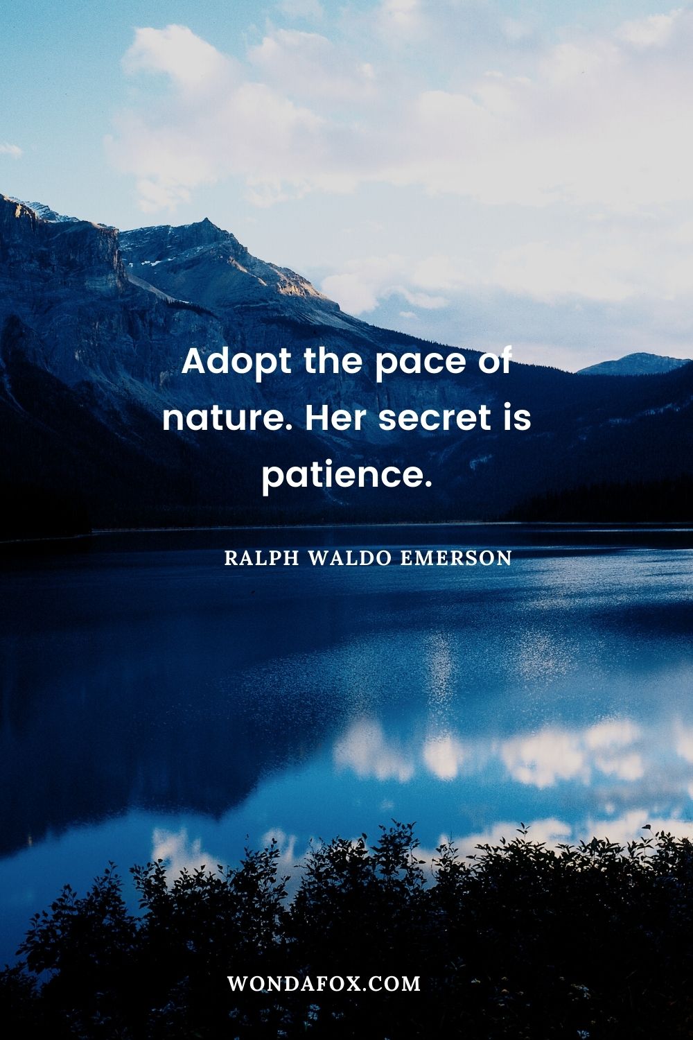 Adopt the pace of nature. Her secret is patience.