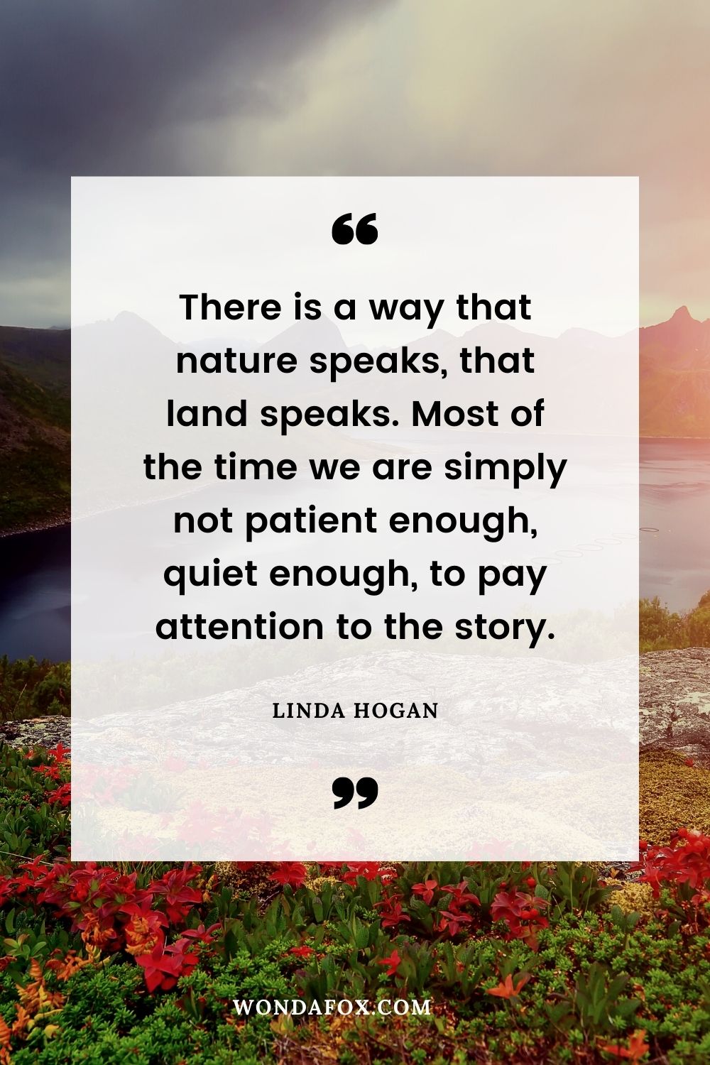 There is a way that nature speaks, that land speaks. Most of the time we are simply not patient enough, quiet enough, to pay attention to the story.