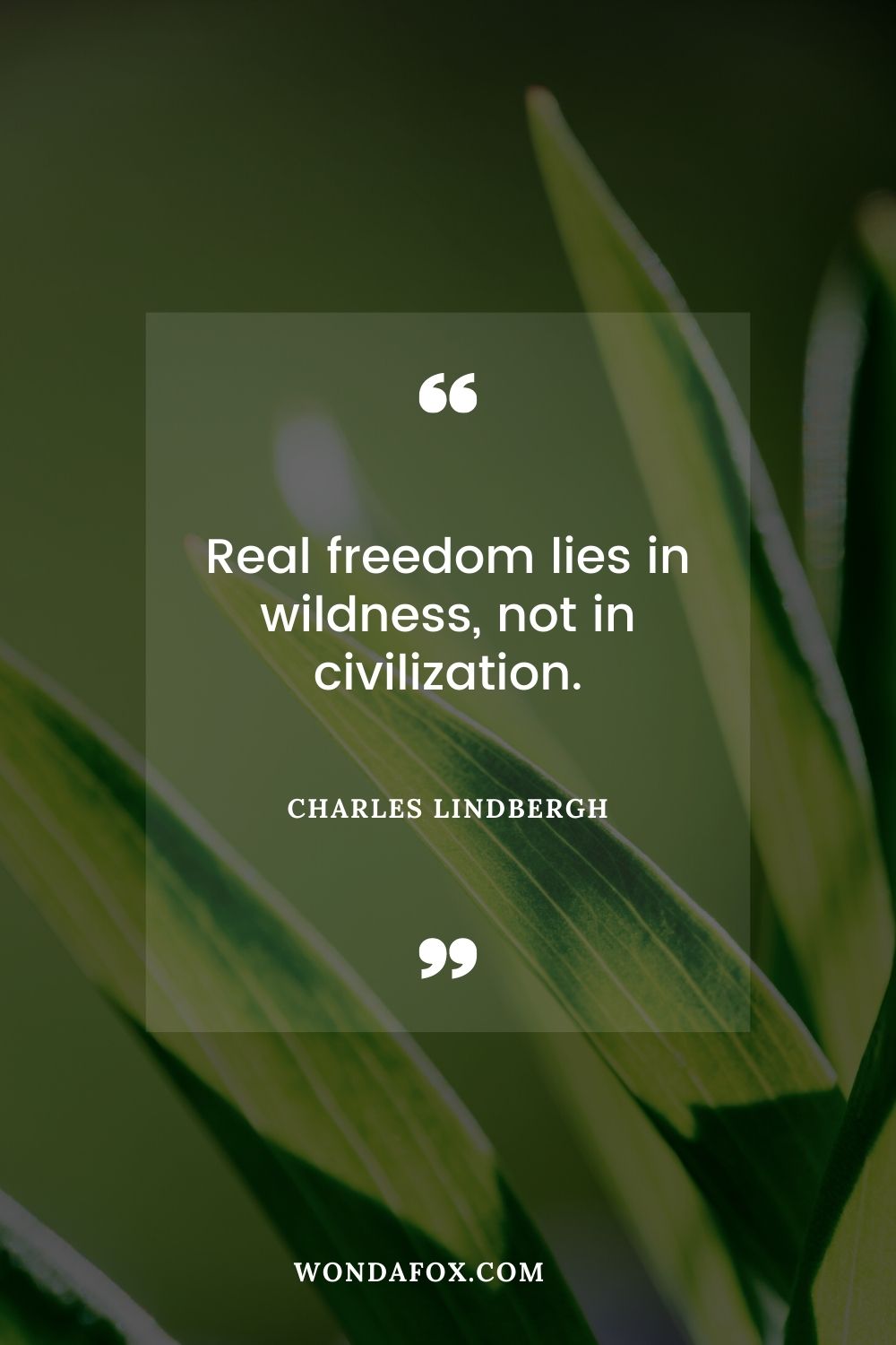 Real freedom lies in wildness, not in civilization.