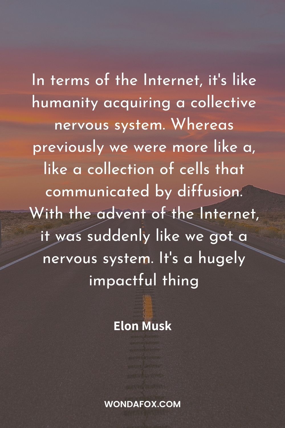 In terms of the Internet, it's like humanity acquiring a collective nervous system. Whereas previously we were more like a, like a collection of cells that communicated by diffusion. With the advent of the Internet, it was suddenly like we got a nervous system. It's a hugely impactful thing