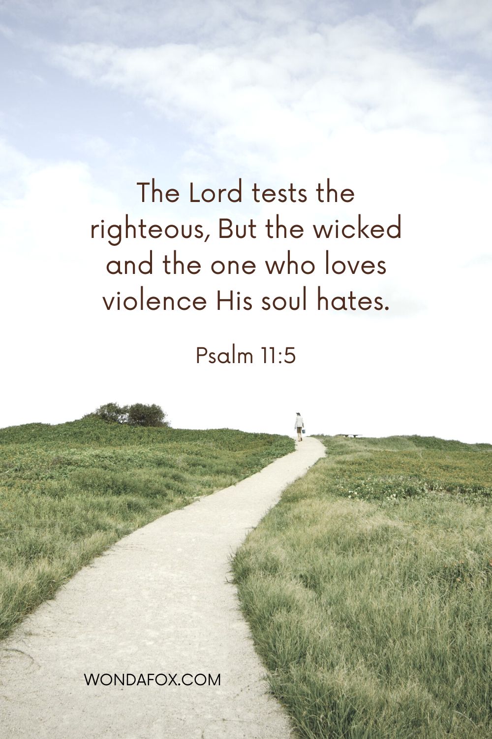 The Lord tests the righteous, But the wicked and the one who loves violence His soul hates.