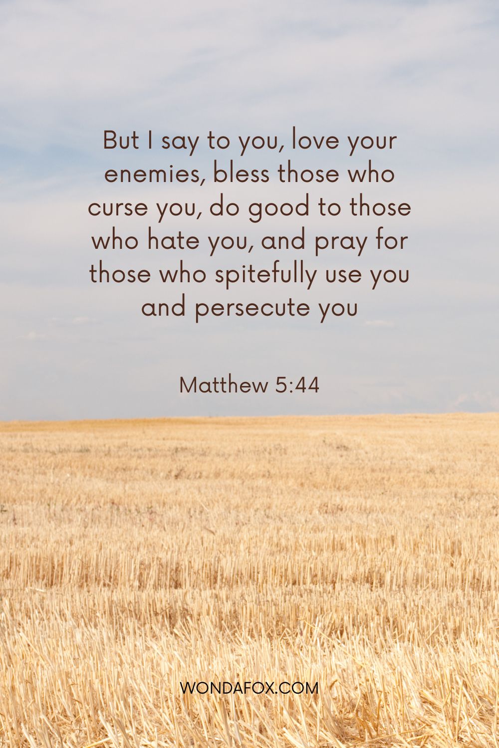 But I say to you, love your enemies, bless those who curse you, do good to those who hate you, and pray for those who spitefully use you and persecute you,
