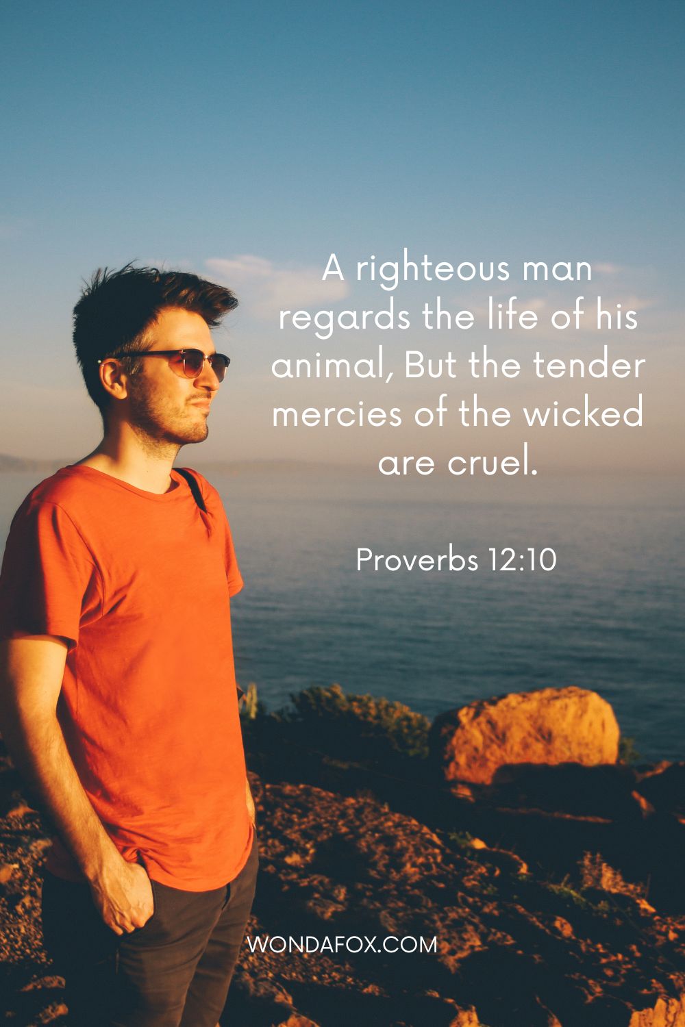A righteous man regards the life of his animal, But the tender mercies of the wicked are cruel.