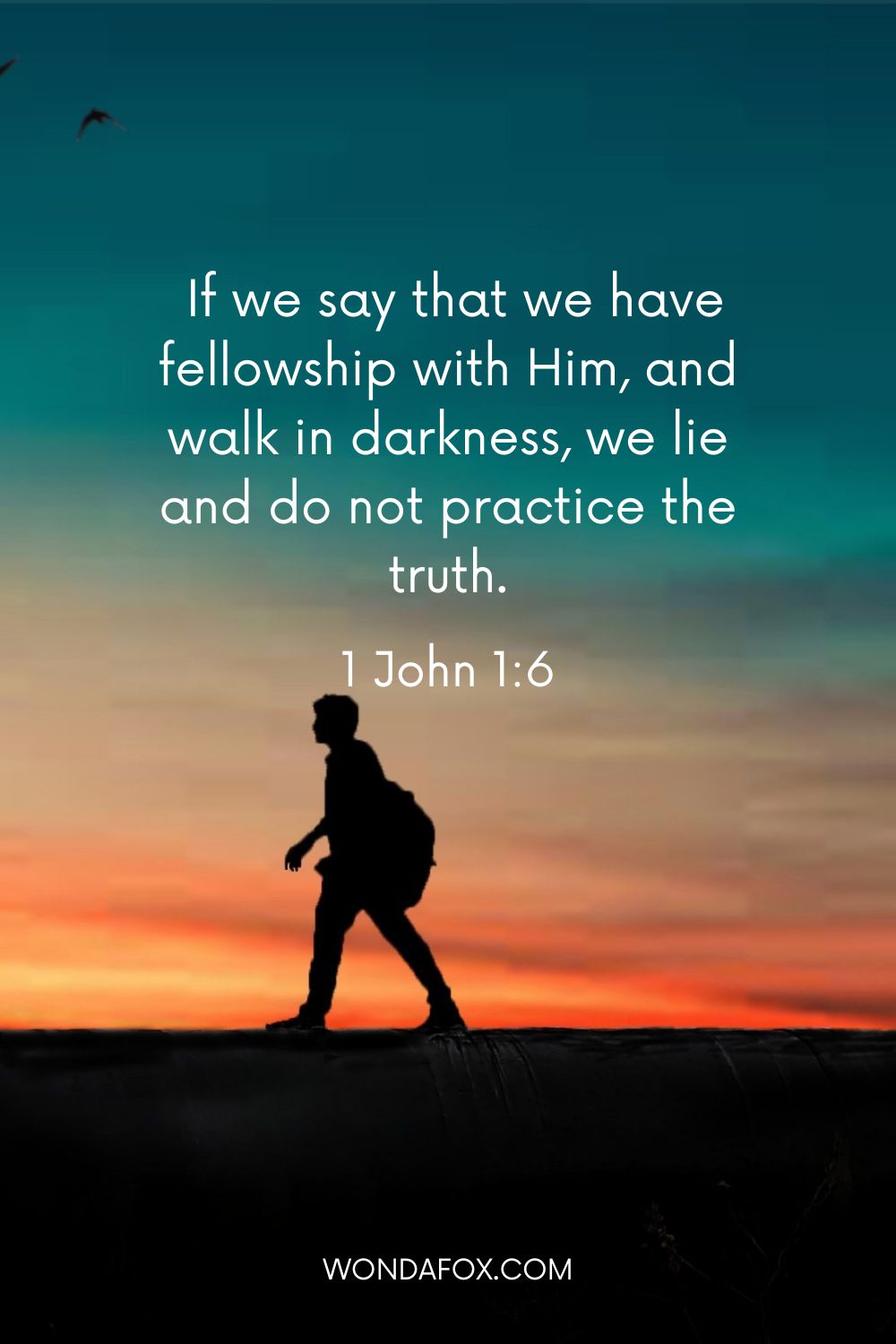  If we say that we have fellowship with Him, and walk in darkness, we lie and do not practice the truth. - Bible Verses About Hatred