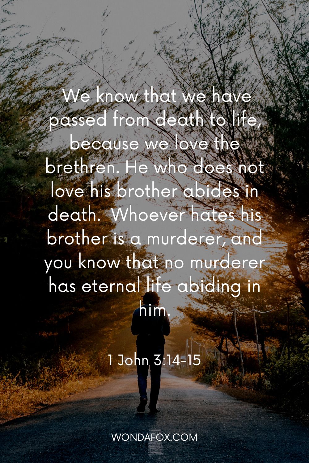  We know that we have passed from death to life, because we love the brethren. He who does not love his brother abides in death.  Whoever hates his brother is a murderer, and you know that no murderer has eternal life abiding in him.