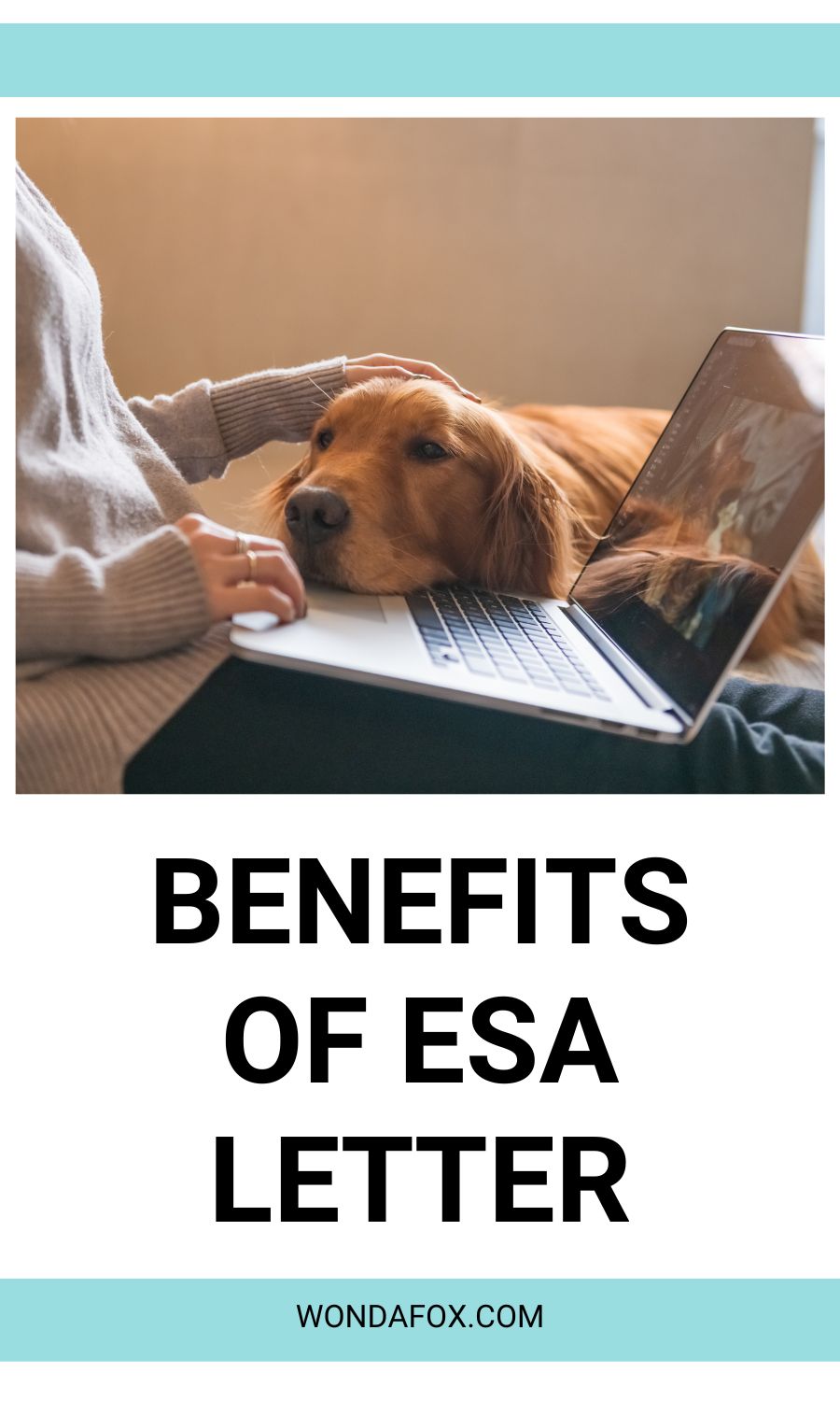 Benefits of ESA letter