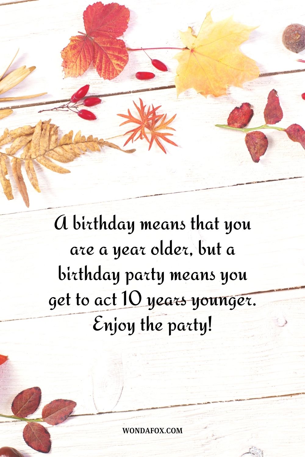A birthday means that you are a year older, but a birthday party means you get to act 10 years younger. Enjoy the party!